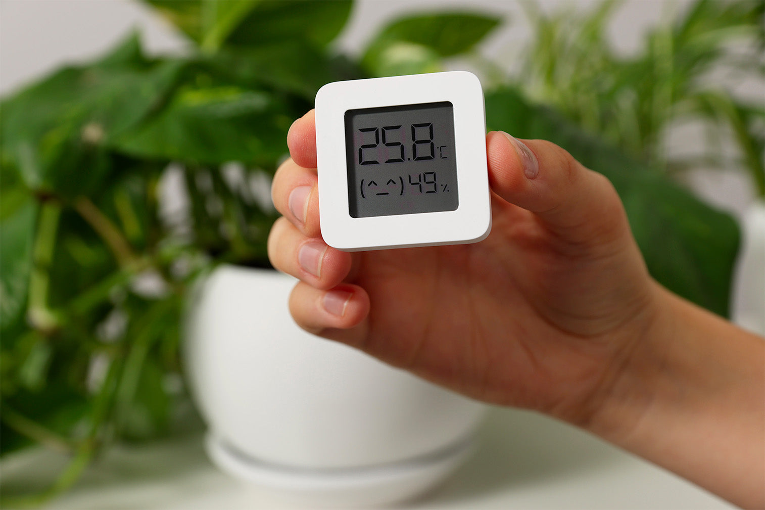 Čo všetko ti môžu ponúknuť domáce meteostanice?