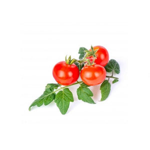 BIO Cherry rajskej pre SMART kvetináče véritable CHERRYRAJ016