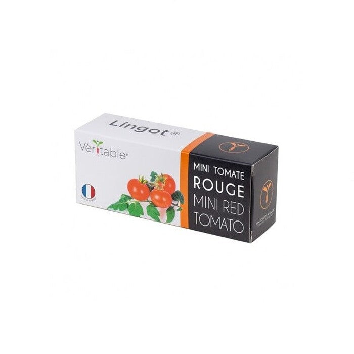 BIO Cherry rajskej pre SMART kvetináče véritable CHERRYRAJ016