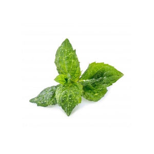 BIO Mäta pre SMART kvetináče véritable MATA009