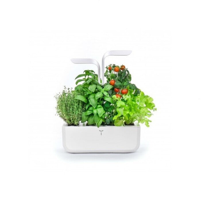 BIO Pažítka pre SMART kvetináče véritable PAZITKA004