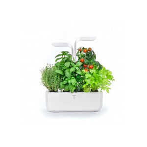 BIO Petržlen pre SMART kvetináče véritable PETRZELKA002