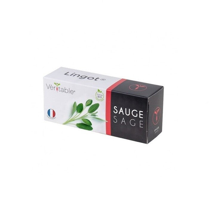 BIO Šalvia pre SMART kvetináče véritable SALVEJ00B