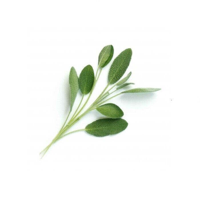 BIO Šalvia pre SMART kvetináče véritable SALVEJ00B POŠKODENÝ OBAL