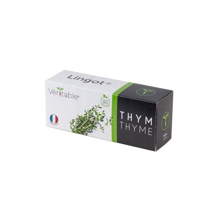 BIO Tymián pre SMART kvetináče véritable TYMIAN005