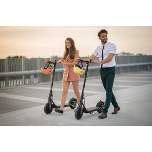 Elektrokolobežka Ninebot Kickscooter F30E 25km/h, 30km