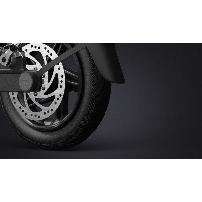 Elektrokolobežka Ninebot Kickscooter F30E 25km/h, 30km