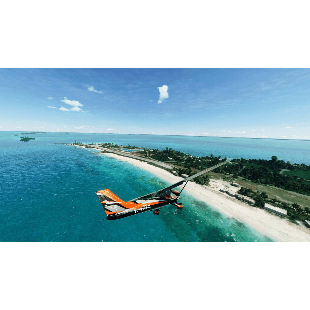 Flight Simulator 2020 (889842779608)