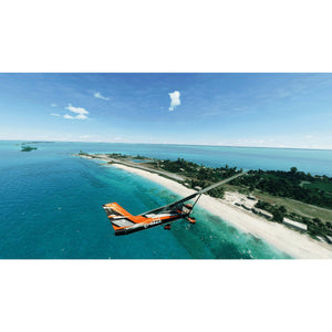 Flight Simulator 2020 (889842779608)