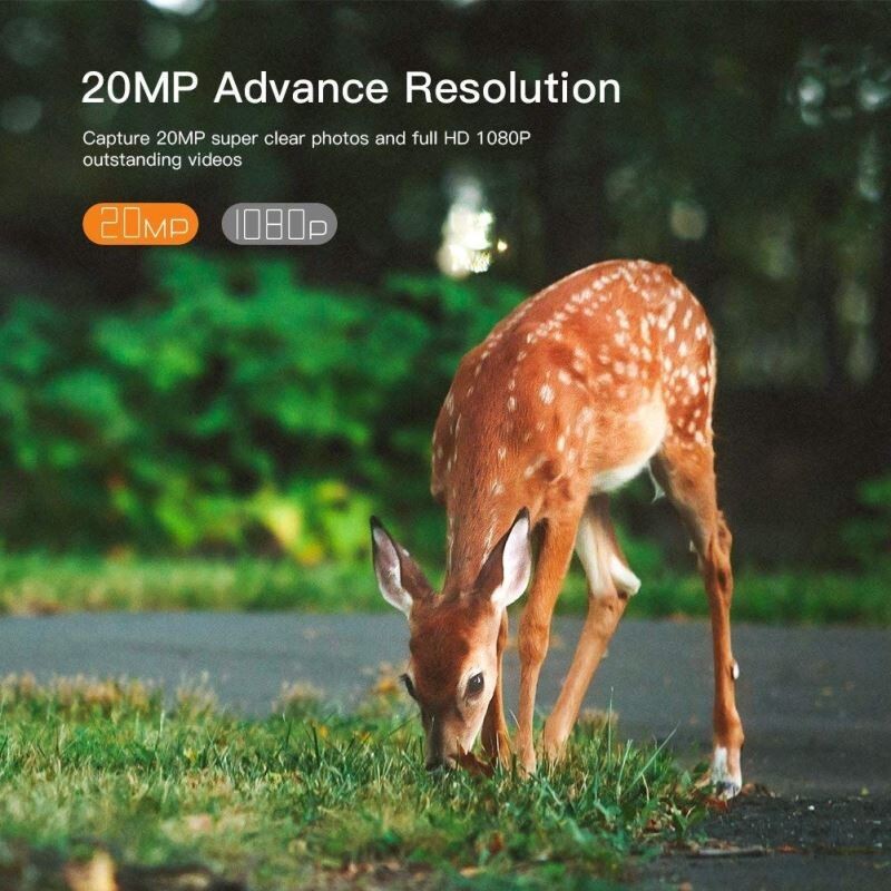 Fotopasca Apeman Trail Cam H70, 20 Mpx