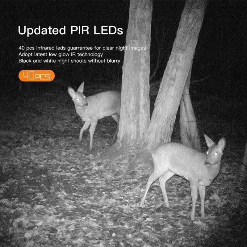 Fotopasca Apeman Trail Cam H70, 20 Mpx
