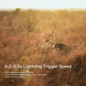 Fotopasca Apeman Trail Cam H70, 20 Mpx