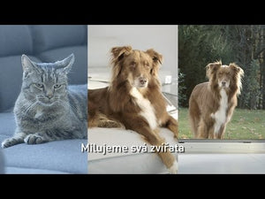 Viacúčelový vysávač Thomas Aqua Pet & Family