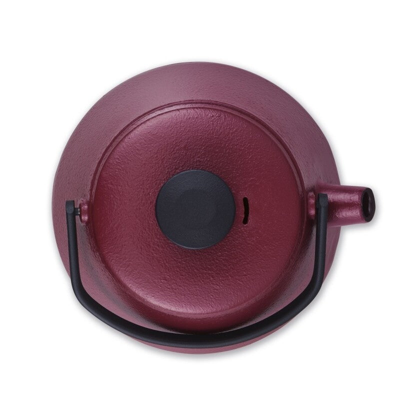 Kanvica na čaj Brabantia 30004688 T-Time, červená, 0,7 l