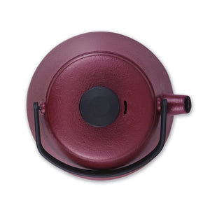 Kanvica na čaj Brabantia 30004688 T-Time, červená, 0,7 l