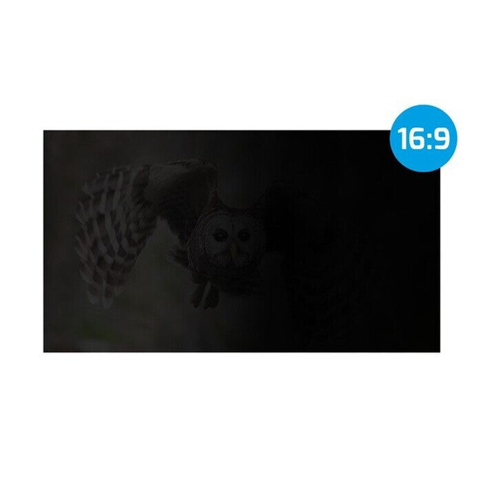 Privátny filter pre monitor Natec Owl 15,6&quot; (NFP-1475) POŠKODENÝ OBAL