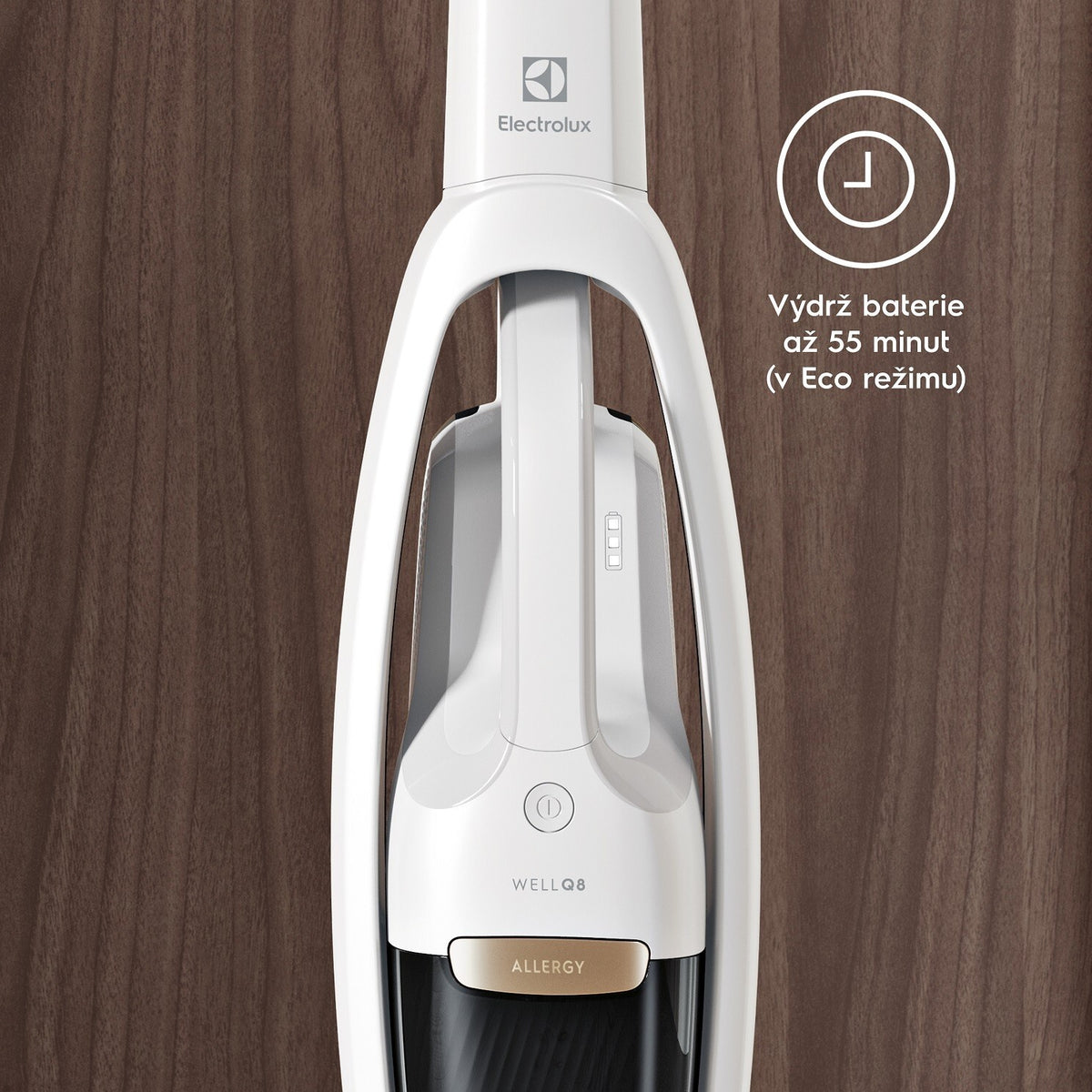 Tyčový vysávač 2v1 Electrolux Well Q8 WQ81-ALRS