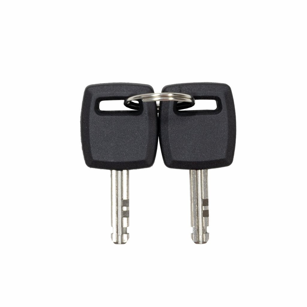 Zámok EVOLVEO StrongVision LOCK